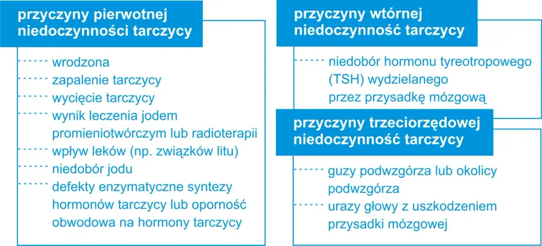 Niedoczynność tarczycy przyczyny: Co może prowadzić do problemów?