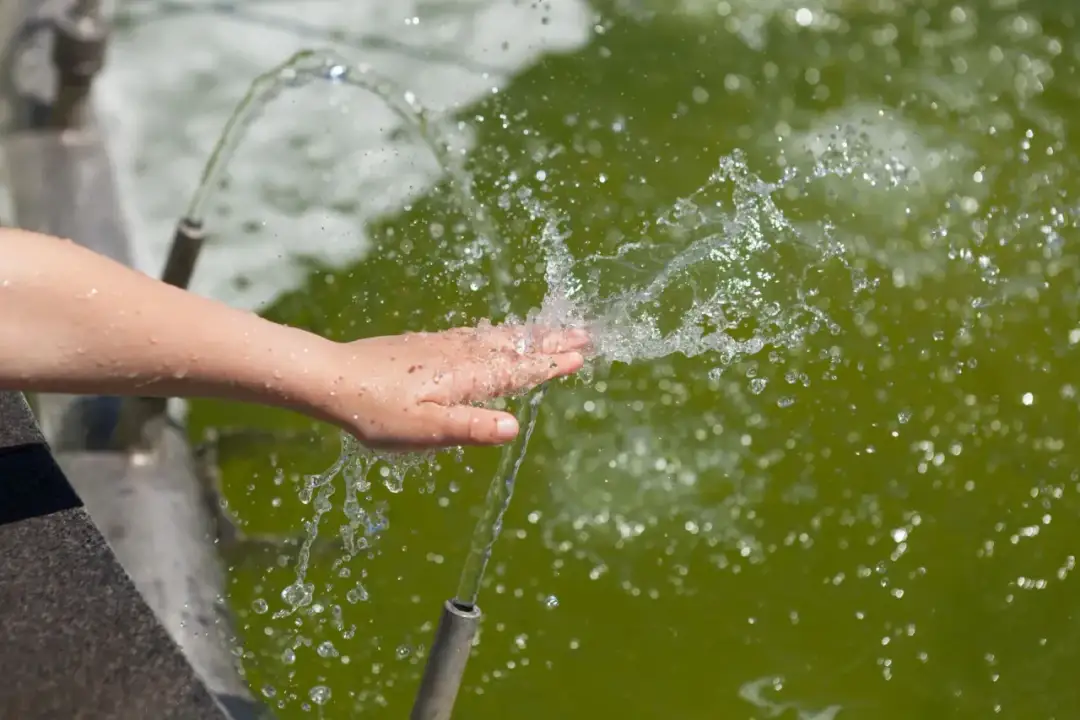 Co z wodą z oczyszczalni biologicznej? Użyj jej mądrze i legalnie