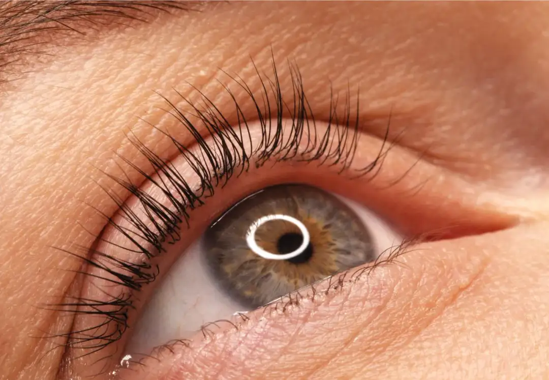 Zbliżenie na oko z pięknie podkręconymi rzęsami. Zastanawiasz się, ile czasu utrzymuje się laminacja rzęs? Efekt utrzymuje się zazwyczaj 4-6 tygodni.