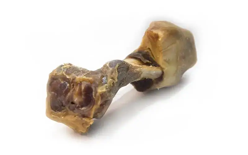 Kości z kurczaka dla psa objawy: jak uniknąć poważnych zagrożeń