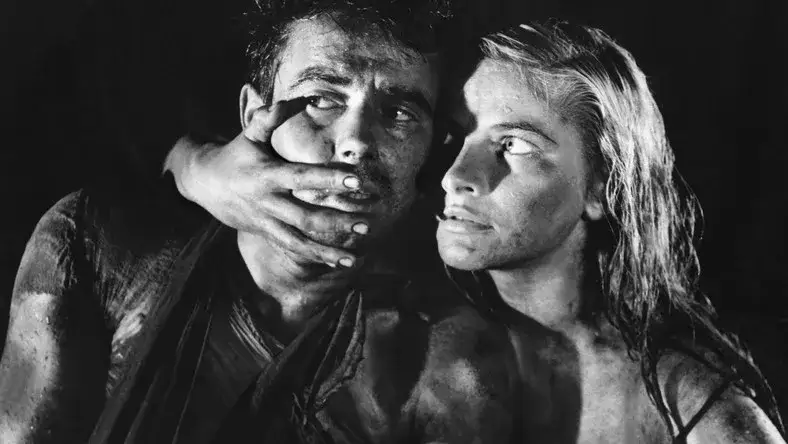 Polska kinematografia - od pierwszych filmów do dzisiejszych sukcesów