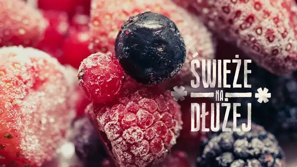 Czy sałatę można mrozić? Odkryj, które rodzaje się nadają