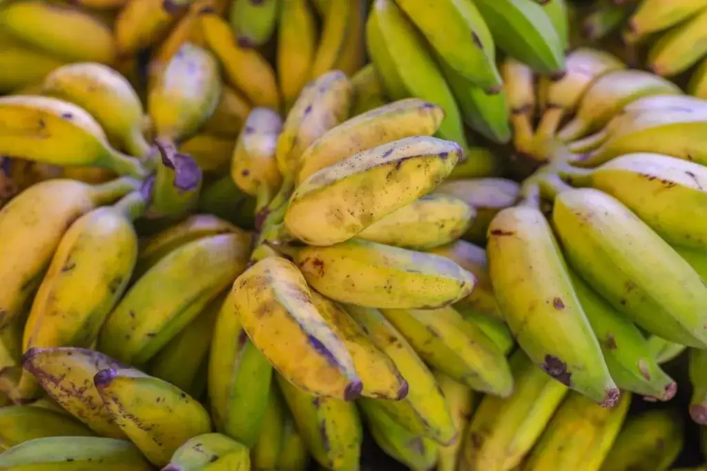 W jakim kraju rosną banany? Odkryj największych producentów