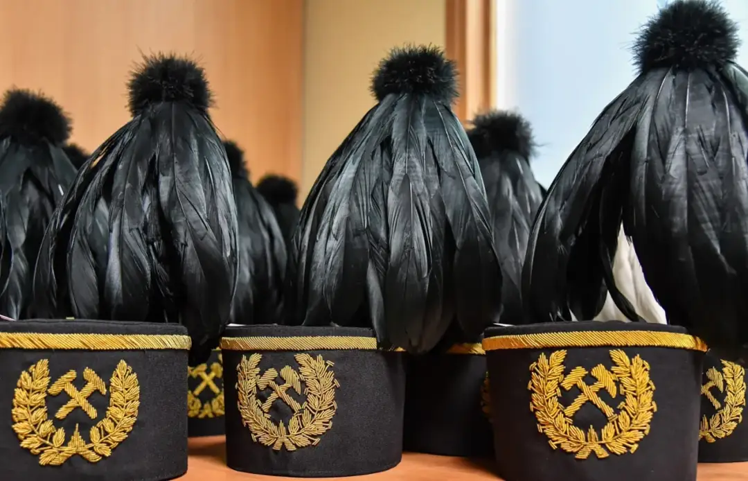 Gronostajowe czapki co to znaczy? Zaskakujące znaczenie w poezji Brzechwy