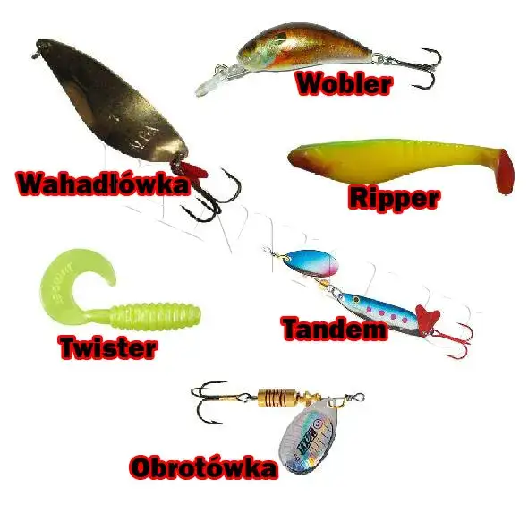 Haczyk 10 na jakie ryby - skuteczne techniki i najlepsze przynęty