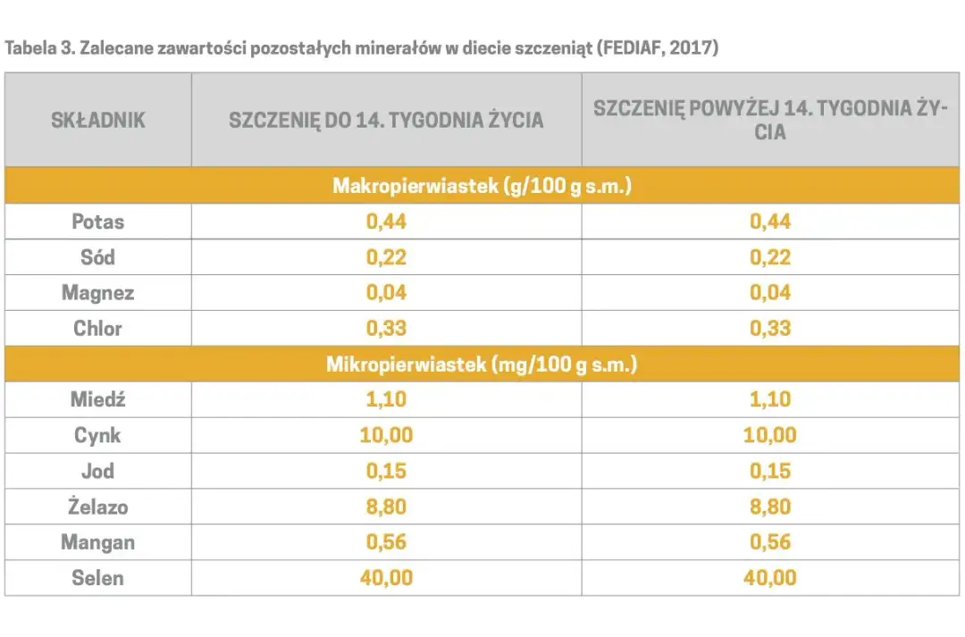 Ile karmy dla szczeniaka? Tabele, błędy i zdrowy rozwój!