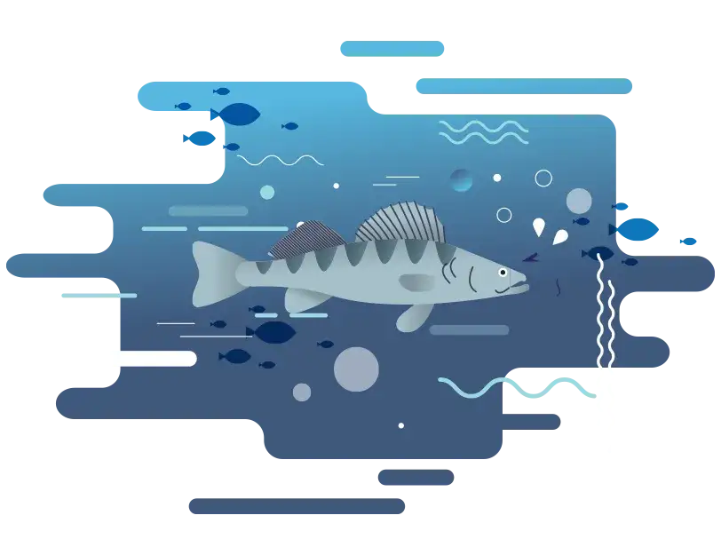 Co pływa w Bałtyku? Odkryj nieznane gatunki ryb i ich smaki