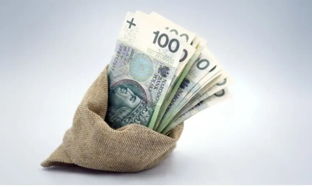 Kara grzywny za wykroczenie skarbowe: co musisz wiedzieć o karach