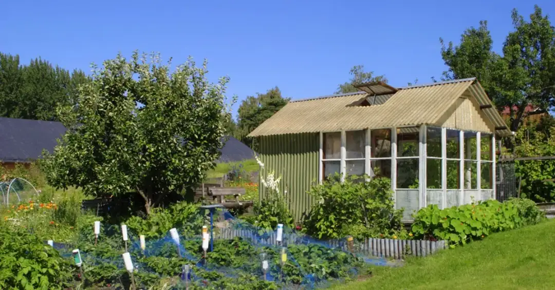 Działka ROD: Podatek PCC 1% czy 2%? Zapłać mniej i uniknij kar