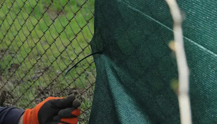 Czym zasłonić ogrodzenie z siatki, aby zyskać prywatność i styl?