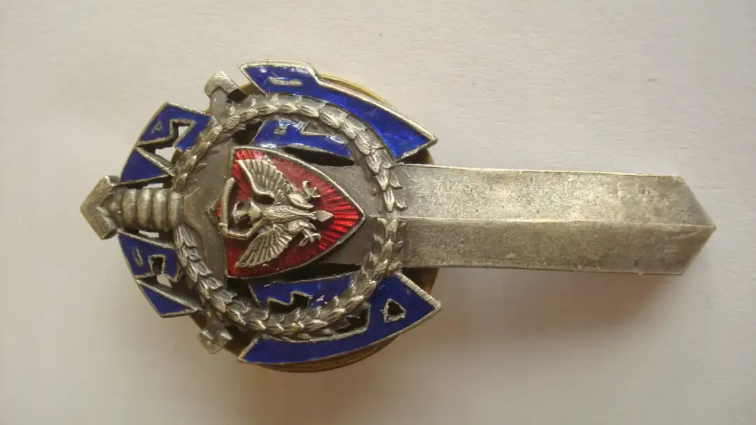 Odznaka bojowa: Ile kosztuje i co naprawdę symbolizuje?