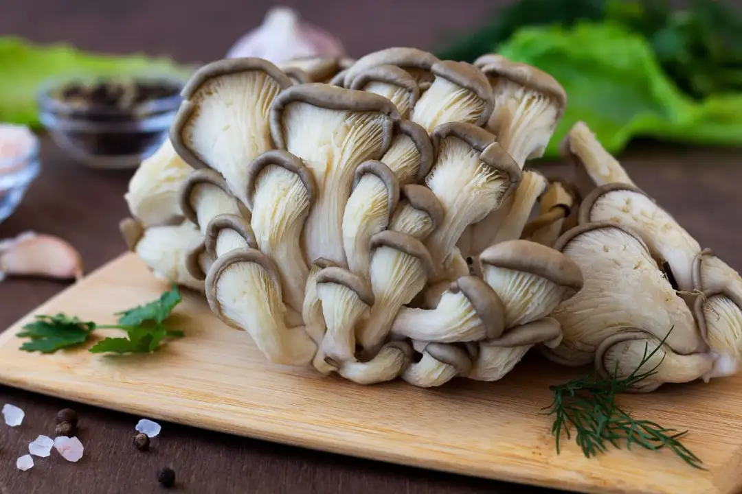 Dietetyczne boczniaki bez wyrzeczeń: Zdrowe przepisy, które pokochasz