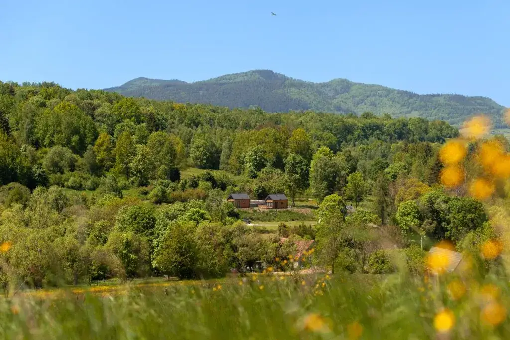 Góry Sowie – gdzie nocleg? Odkryj najlepsze opcje na wypoczynek