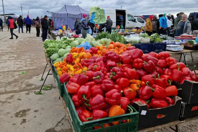 Giełda Słomczyn - co można kupić? Sprawdź, co warto znaleźć!