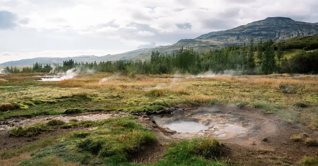 Jak gotować szparagi - 4 proste przepisy dla każdego