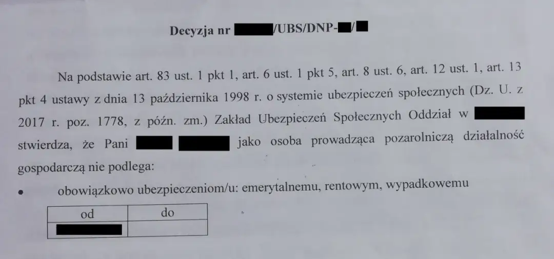 Decyzja ZUS o żłobkowym: Kiedy ją dostaniesz i co dalej?