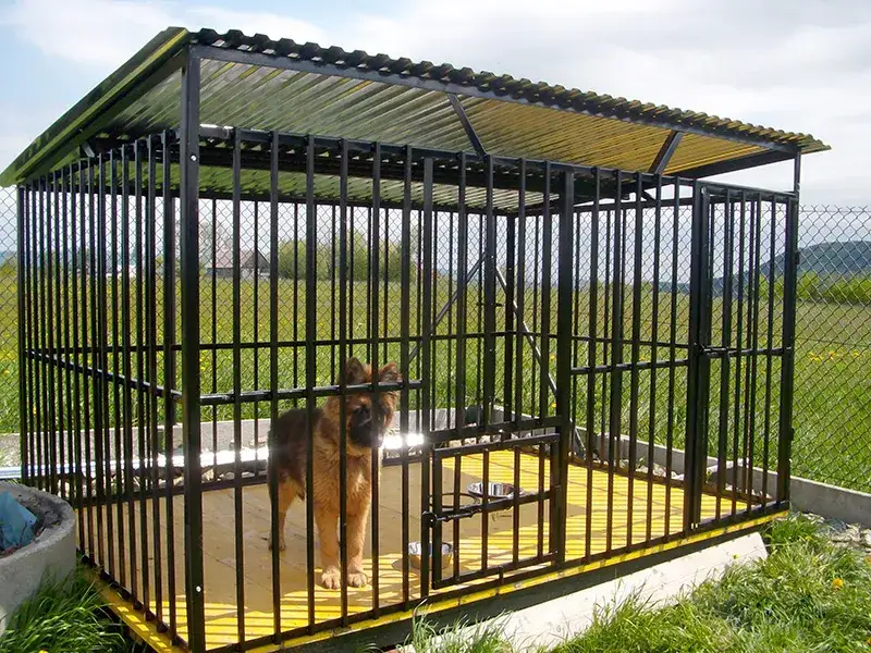 Czym wyłożyć kojec dla psa? Najlepsze materiały dla komfortu i bezpieczeństwa twojego pupila