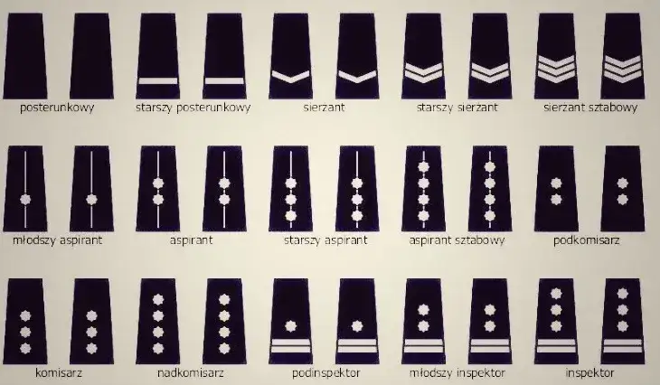 Ile naprawdę zarabia starszy sierżant w policji? Sprawdź, czy to się opłaca!