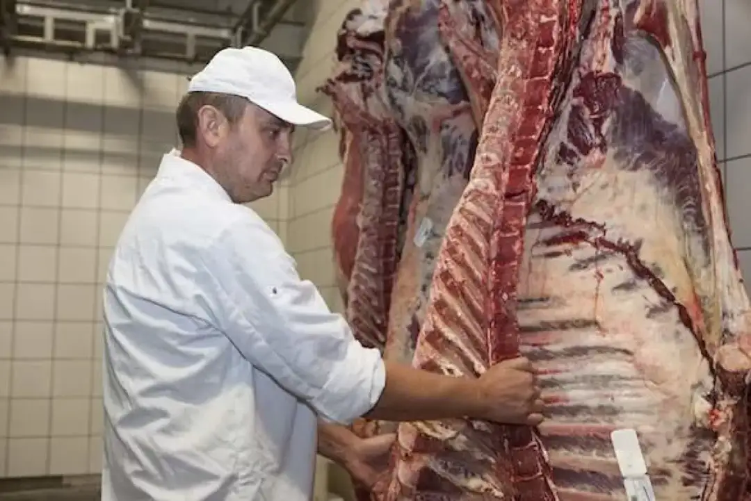 Ceny wołowiny w skupie: co musisz wiedzieć, aby nie stracić?