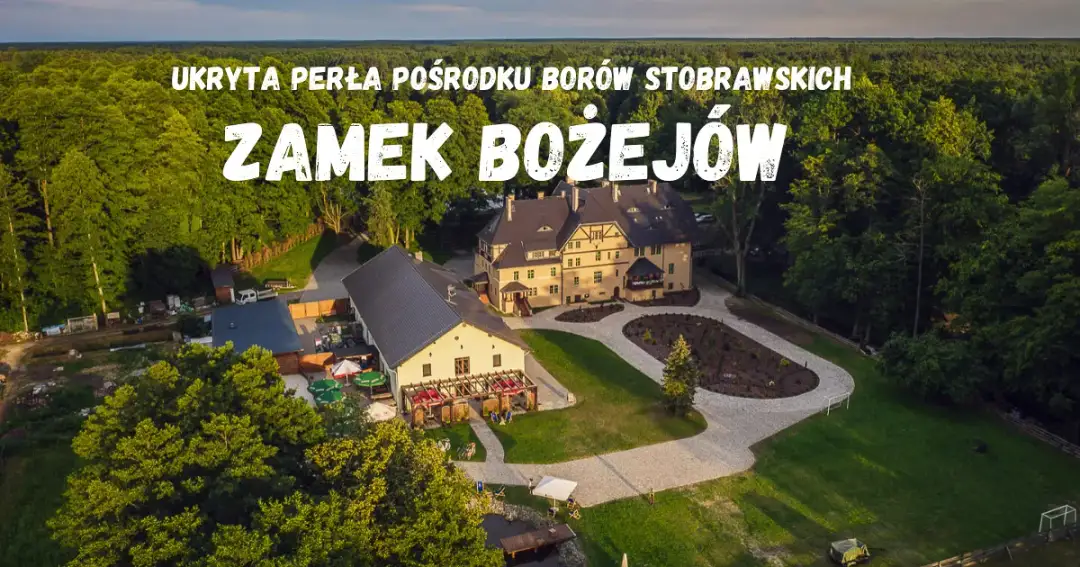 Zamek Bożejów atrakcje: odkryj niezapomniane przeżycia dla rodzin