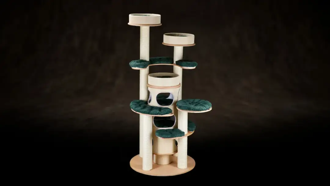 Jak zrobić plac zabaw dla kota, który zapewni mu radość i bezpieczeństwo