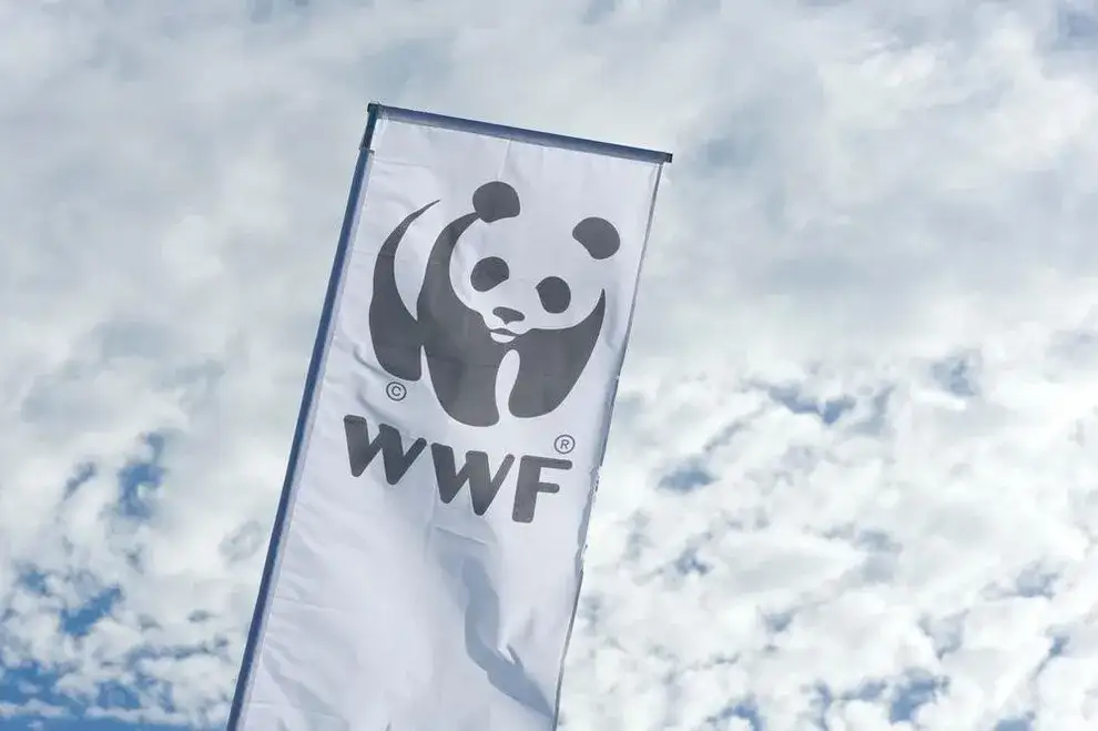 W którym roku powstało wwf? Odkryj historię organizacji i jej oddziałów