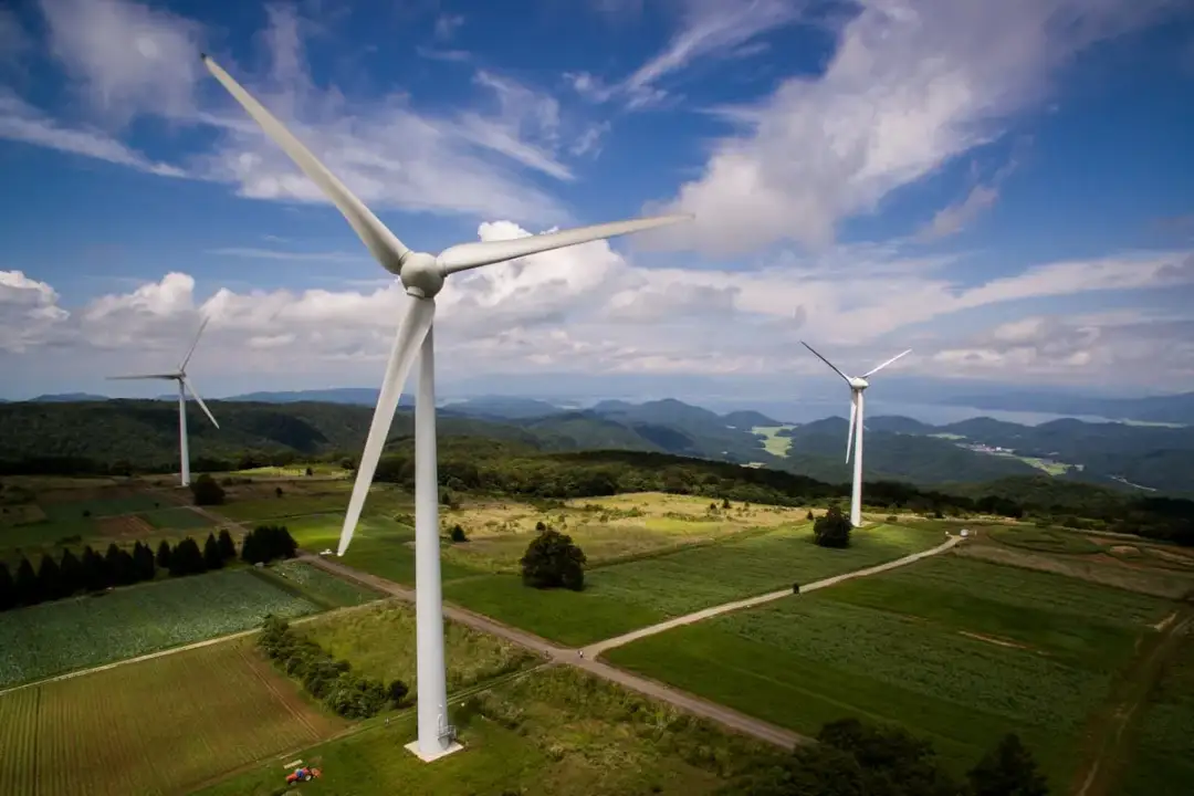 Czy elektrownie wiatrowe są szkodliwe dla zdrowia ludzi? Fakty i mity