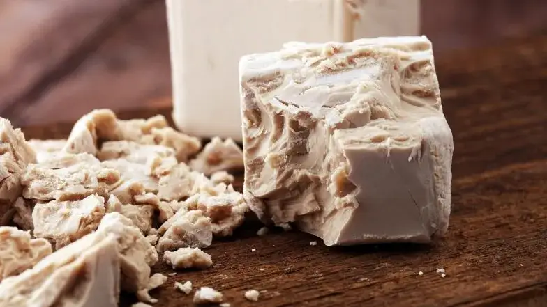 Czy drożdże są zdrowe: poznaj prawdę o ich wpływie na organizm