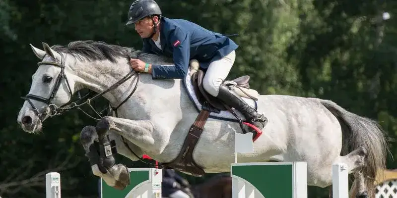 Blog o jeździectwie: odkryj tajemnice zdrowia i treningu koni