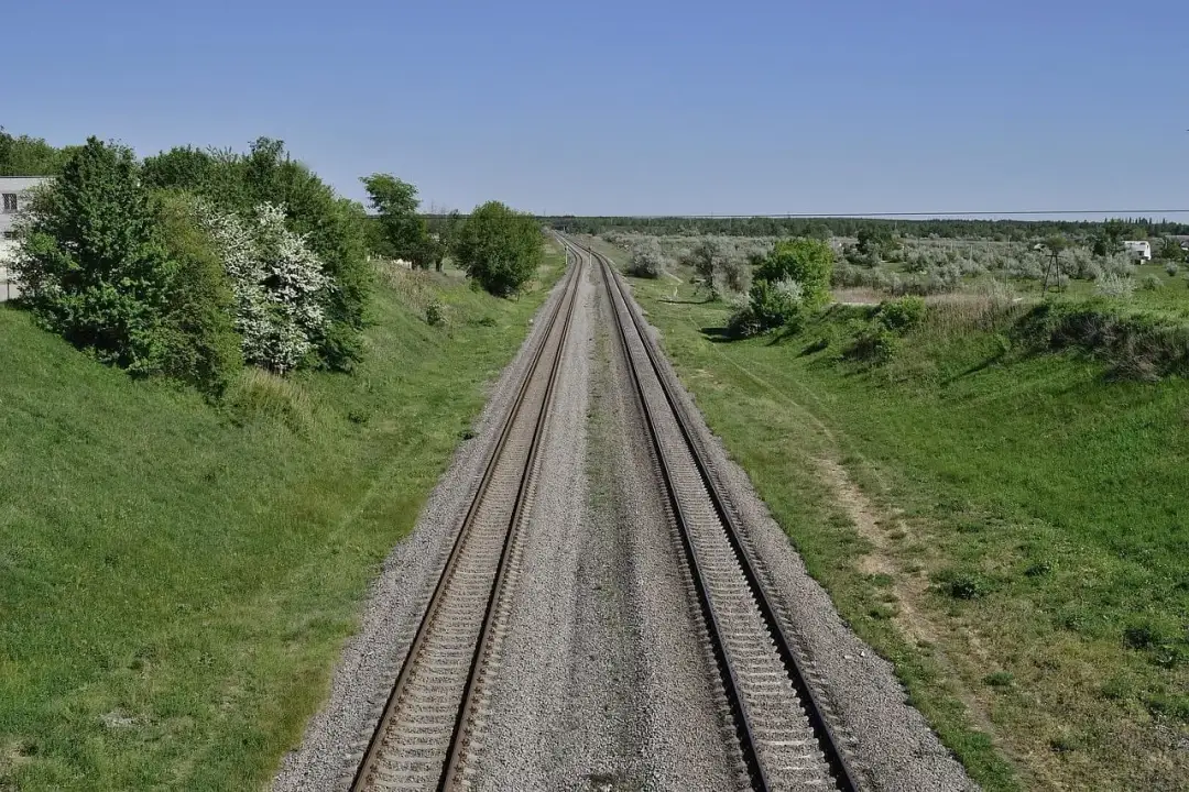 Instrumenty w Muzyce Brazylijskiej: Historia i Zastosowanie