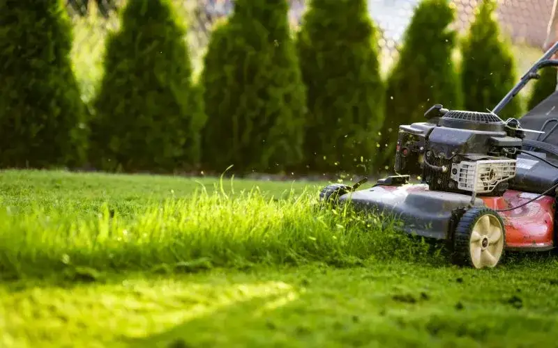 Jak dbać o trawnik na wiosnę, aby uniknąć jego zniszczenia?