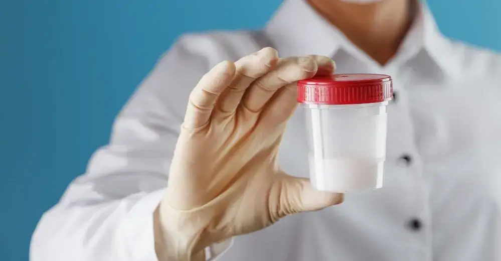 Na czym polega badanie nasienia u mężczyzny - kompleksowy poradnik pacjenta