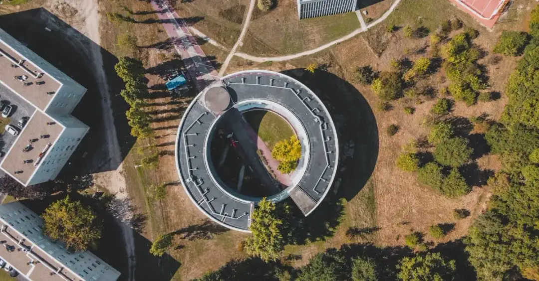 Jakie zwierzęta kryje Park Narodowy Ujście Warty? To dzika natura!