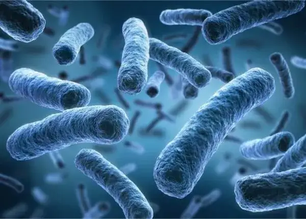 Wysokie CRP przyczyny: co może oznaczać dla Twojego zdrowia?