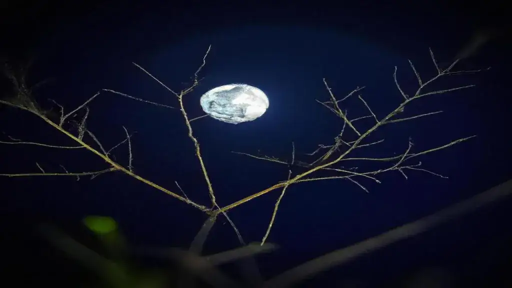 Jak zrobić zdjęcie Księżyca telefonem i uniknąć najczęstszych błędów Jak zrobić zdjęcie Księżyca telefonem i uniknąć najczęstszych błędów