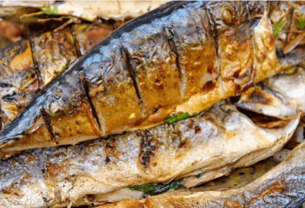 Czy makrela wędzona jest zdrowa dla organizmu: prawda o jej wartościach