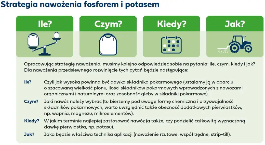 Jak stosować naturalny nawóz potasowy - skuteczne techniki