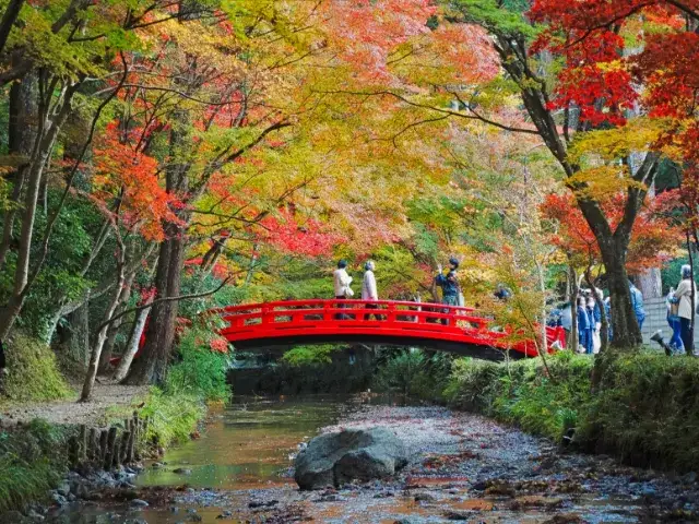 Japonia jesienią: wszystko o planowaniu wyjazdu, atrakcje i porady