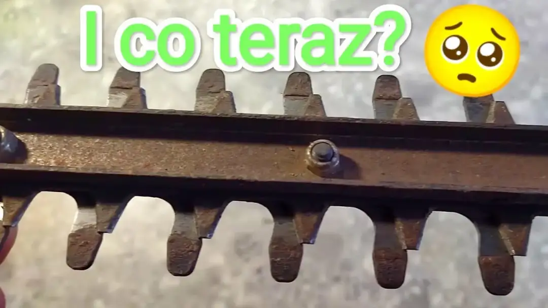 Gdzie naostrzyć nożyce do żywopłotu, aby uniknąć kosztownych błędów?