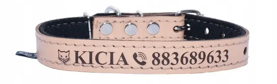 Jak założyć obrożę dla kota, aby zapewnić mu komfort i bezpieczeństwo