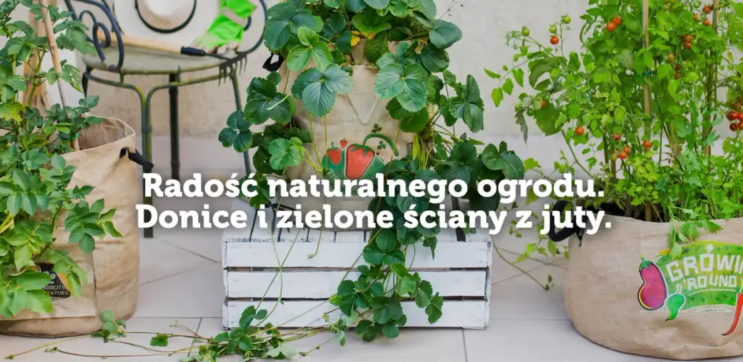 Jak zrobić nawadniacz do kwiatów z butelki i oszczędzić czas na podlewaniu