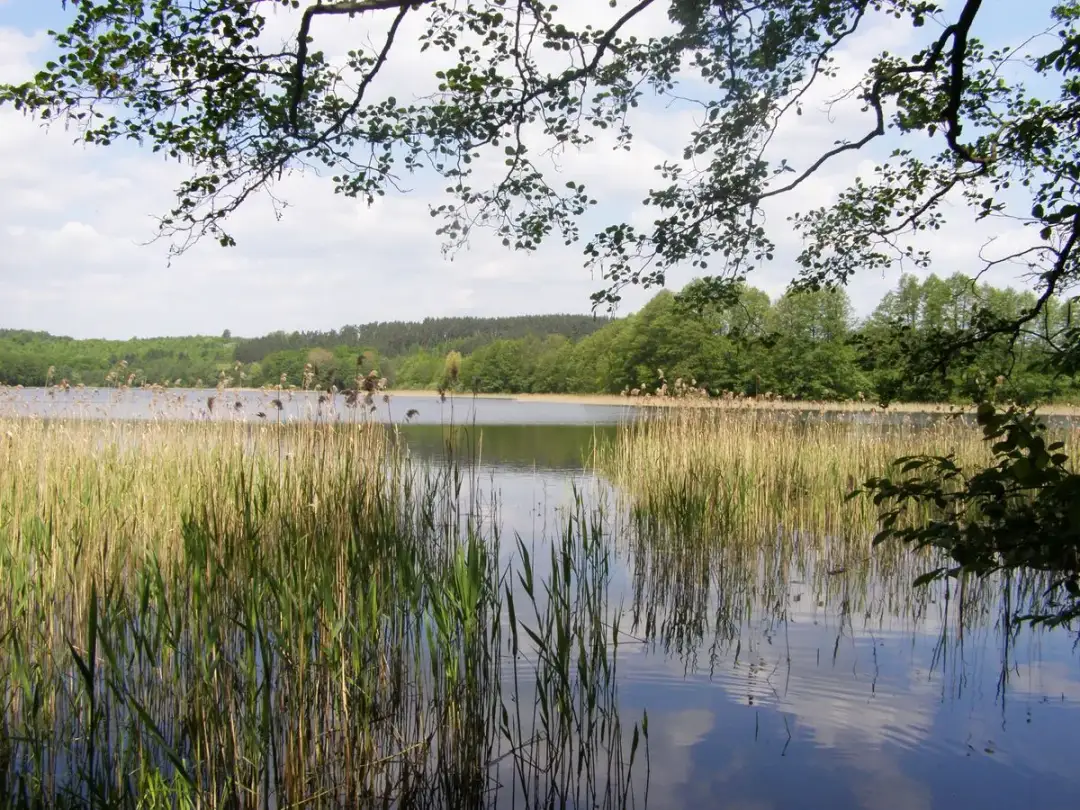 Jezioro Gromskie: idealne miejsce na aktywny wypoczynek w pięknej okolicy