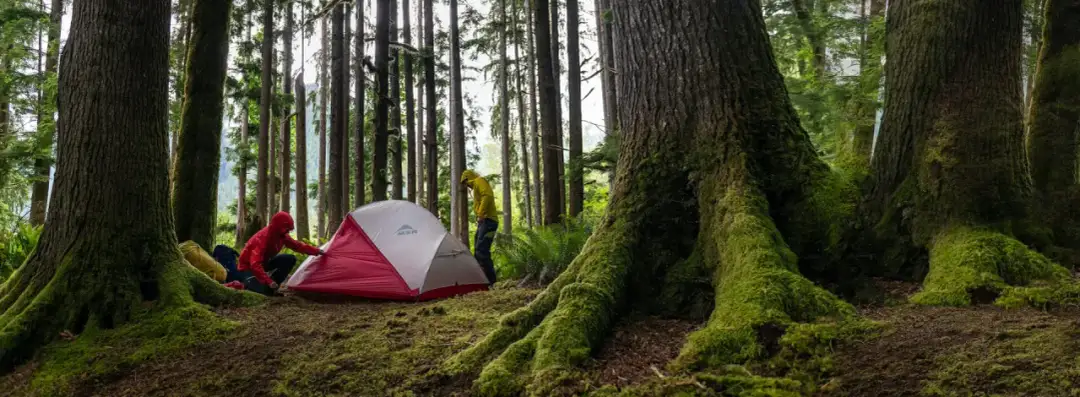 Jaki namiot na kemping: wybierz idealny model na każdą wyprawę