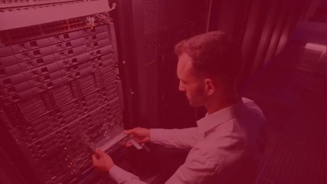 Co można robić po studiach informatycznych? Praca i możliwości kariery