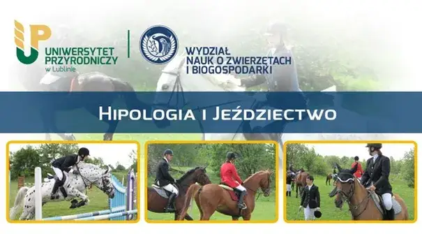 Hipologia i jeździectwo Lublin - wszystko, co musisz wiedzieć o studiach