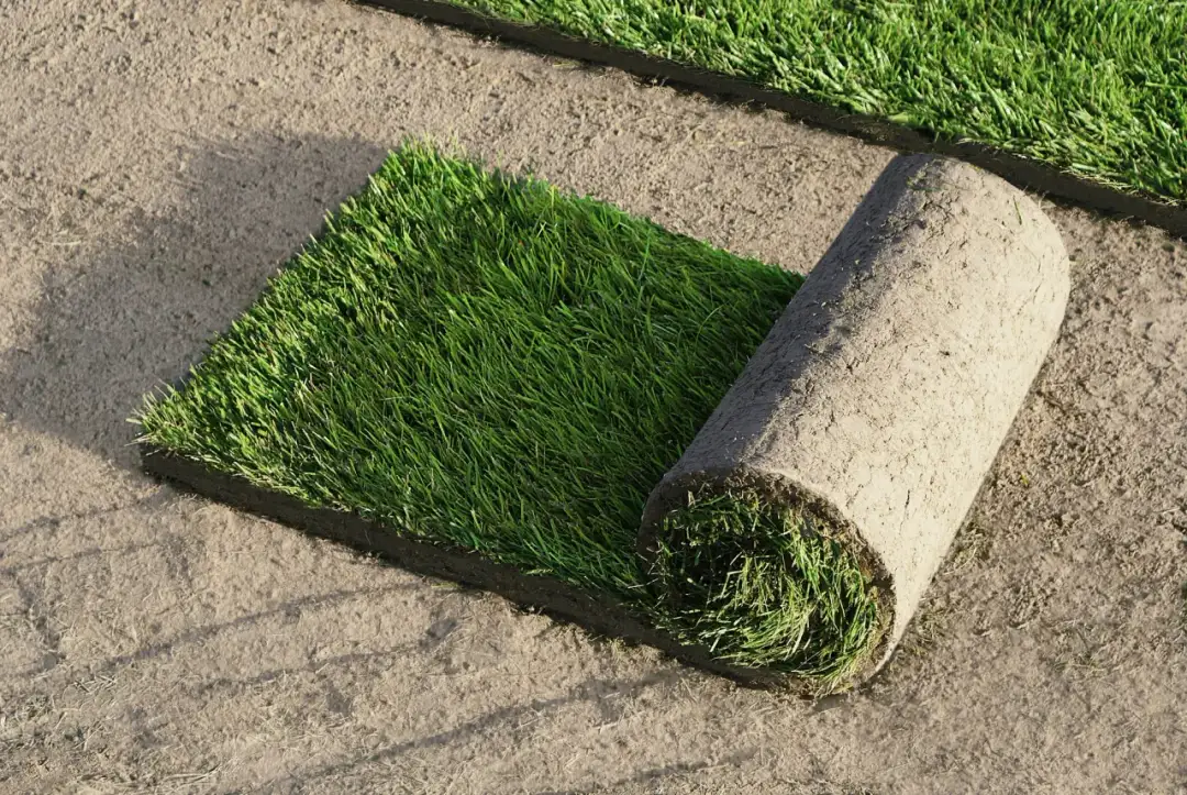 Ile kosztuje sztuczna trawa? Poznaj ceny i czynniki wpływające