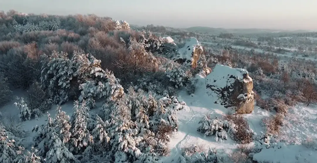 7 zimowych trików z Jury na smog i czyste płuca