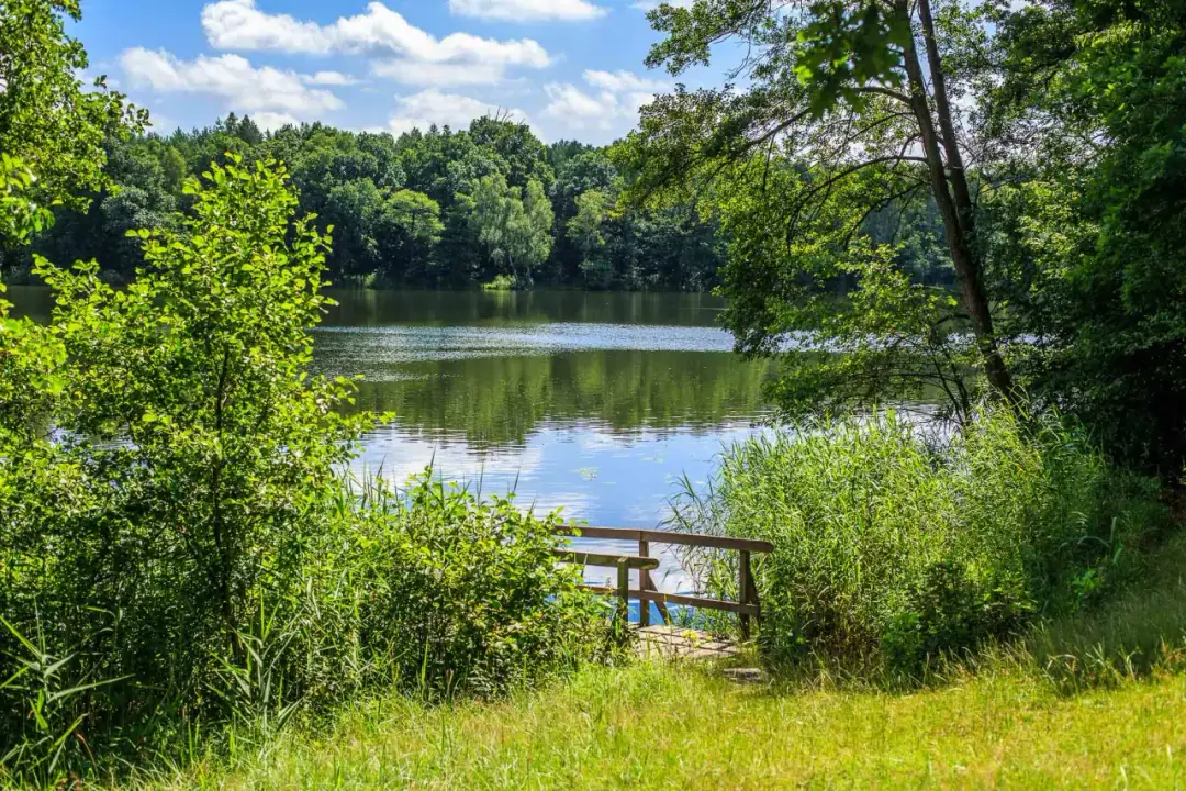 Jezioro Babskie - malowniczy kompleks 5 jezior na wypoczynek w Wielkopolsce