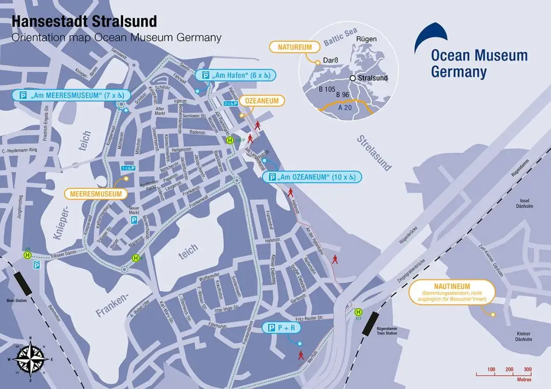 Stralsund oceanarium – fascynujący świat morskich tajemnic i atrakcji