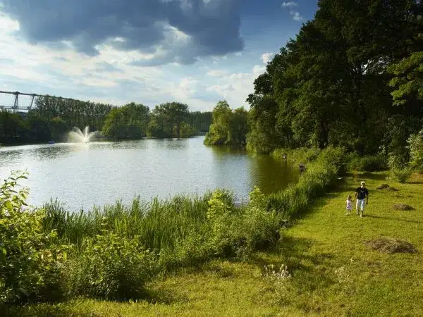 Atrakcje w Parku w Chorzowie, które zaskoczą każdego odwiedzającego